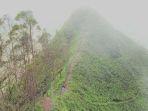 Bukit-Watunariwowo-atau-dikenal-juga-dengan-sebutan-Bukit-Avatar-di-Bajawa-NTT.jpg
