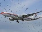 Burung-yang-berterbangan-saat-pesawat-lepas-landas-di-bandara.jpg