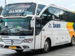 Bus-DAMRI-siap-melayani-perjalanan-darat-ke-berbagai-rute-dengan-nyaman1.jpg