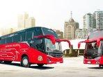 Bus-Gunung-Harta-Denpasar-Jakarta.jpg