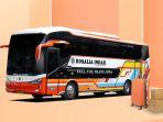 Bus-Rosalia-Indah.jpg