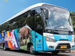 Bus-Trans-Banten-berukuran-sedang-dengan-fasilitas-AC.jpg