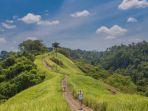 Campuhan-Ridge-Walk-Ubud-Bali-foto.jpg