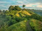 Campuhan-Ridge-Walk-tempat-wisata-alam-populer-di-Ubud-Bali.jpg