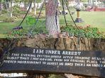 Chained-Tree-of-Peshawar.jpg