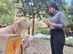 Dairyland-Riverside-Puncak-Jalan-Raya-Puncak-Km-77-Desa-Cipayung-Megamendung-Bogor-Jawa-Barat.jpg