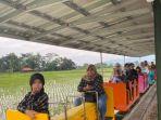 Harga Tiket Masuk Dangdeur Van Java, Tempat Wisata di Bandung dengan Kereta Mini di Tengah Sawah