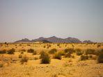 Dataran-di-Afrika.jpg
