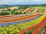 Deretan-kegiatan-seru-saat-liburan-musim-panas-di-Hokkaido-Jepang.jpg