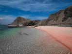 Deretan-pantai-berpasir-pink-tercantik-di-dunia-yang-menarik-buat-kamu-jelajahi.jpg