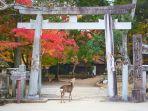 Deretan-tempat-wisata-terbaik-di-Nara-Jepang.jpg