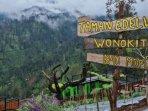 Desa-Wisata-Edelweiss-Wonokitri.jpg