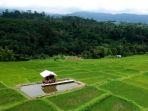 Desa-Wisata-Golo-Loni.jpg