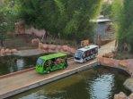 Drive-Thru-Park-5.jpg