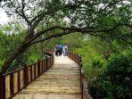 Ekowisata-Mangrove-Wonorejo-777.jpg