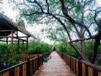 Ekowisata-Mangrove-Wonorejo.jpg