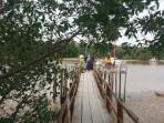 Ekowisata-Pulau-Semut-Pekanbaru.jpg