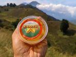 Exotic-Carica-oleh-oleh-khas-Dieng-Wonosobo-Jawa-Tengah.jpg