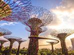 Gardens-by-the-Bay.jpg