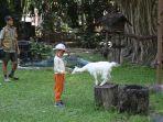 Gembira-Loka-Zoo-555.jpg