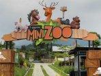 Goalpara-Tea-Park-Mini-Zoo.jpg