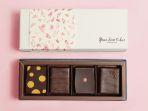 Green-Bean-to-Bar-Chocolate-toko-cokelat-terbaik-di-Tokyo-Jepang-belanja-oleh-oleh.jpg