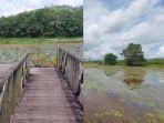 Guntung-Alami-di-Desa-Guntungbesar.jpg