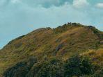 Gunung-Andong-di-Magelang.jpg