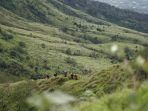 Gunung-Kembang-3.jpg