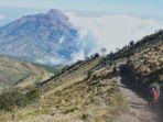 Gunung-Merbabu-66.jpg