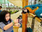 Harga-tiket-masuk-Batam-Zoo-Paradise-tempat-wisata-baru-di-Riau-buat-liburan-seru-bareng-keluarga.jpg