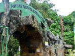 Hutan-Mata-Kucing.jpg