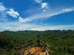 Hutan-Pinus-Kalilo-6.jpg