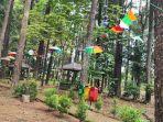 Hutan-Pinus-Mentaos.jpg