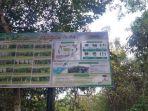 Hutan-mangrove-Desa-Bahoi.jpg