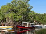 Ilustarsi-berwisata-ke-hutan-mangrove-naik-perahu.jpg
