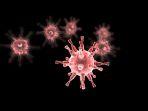 Ilustrasi-Virus-Mutan.jpg
