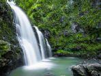 Ilustrasi-air-terjun-yang-dikelilingi-pepohonan-hijau-rindang.jpg