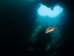 Ilustrasi-blue-hole-Viral-penemuan-blue-hole-terdalam.jpg
