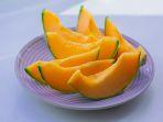 Ilustrasi-buah-melon-Tahukah-kamu-ada-satu-jenis-melon-Jepang-yang-terjual-ratusan-juta.jpg