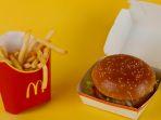 Ilustrasi-burger-dan-kentang-McDonalds.jpg