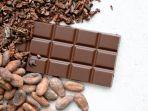 Ilustrasi-cokelat-yang-diolah-dari-biji-kakao-cocok-untuk-oleh-oleh-liburan.jpg