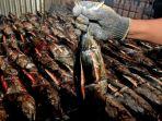 Ilustrasi-ikan-asar-atau-dikenal-juga-dengan-ikan-asap-oleh-oleh-seafood-khas-Ambon-Maluku.jpg
