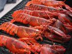 Ilustrasi-lobster-bakar-yang-wajib-dicoba-para-pencinta-seafood.jpg