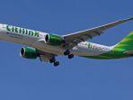 Ilustrasi-maskapai-Citilink-yang-sedang-mengudara.jpg