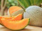 Ilustrasi-melon-berwarna-jingga-yang-rasanya-manis-dan-bertekstur-renyah.jpg