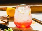 Ilustrasi-minuman-squash-dari-buah-buahan-cocok-disajikan-sebagai-menu-takjil-Ramadan.jpg
