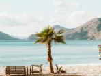 Ilustrasi-pantai-dengan-kursi-santai-di-bawah-pohon.jpg