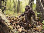 Ilustrasi-penampakan-bigfoot.jpg