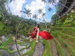 Ilustrasi-pesona-Alas-Harum-Bali.jpg